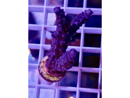 587660823 839221502199447 7525008227445928870 n