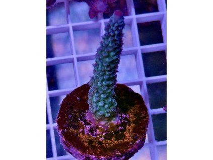 587228700 839221278866136 9038112400076403115 n