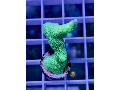 586517915 839218172199780 1645183635150188284 n