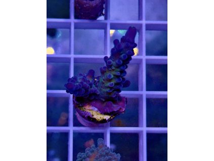 588360438 839221212199476 2380006989195204031 n