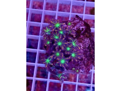 592893853 844254408362823 990845983036332174 n