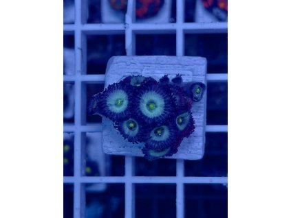 592321164 844254855029445 144607822936507759 n