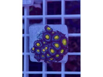 591697567 844255795029351 8041224594864623480 n