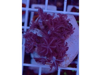 592940366 844257001695897 1558197283385407687 n