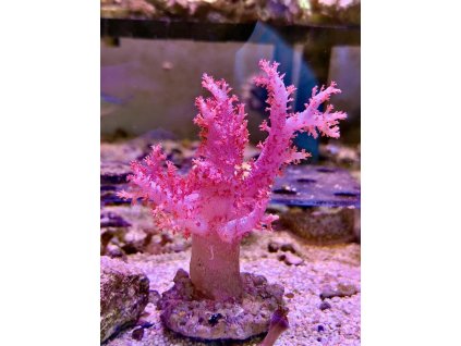 591924936 844299868358277 4529865681084283673 n