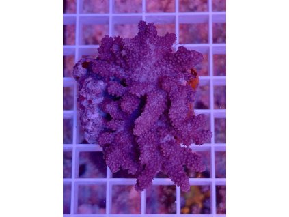 591330342 844300401691557 2304999955287097845 n