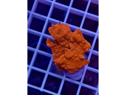 591182803 844255845029346 9001879581228291732 n