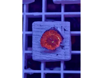 593443069 844255481696049 2594080334317356770 n