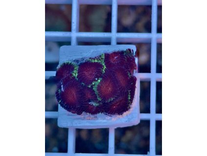 592545963 844255365029394 1377795767219731071 n