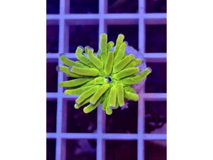 590865273 844254331696164 8969860089997989814 n