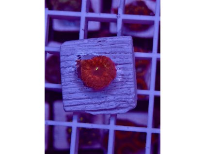 592344792 844255151696082 7282725165930916245 n