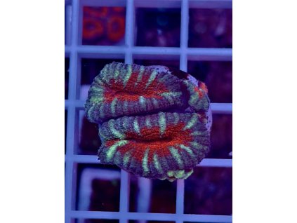 592741646 844254648362799 956670156073047796 n