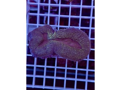 592658321 844254808362783 7456223503133246630 n