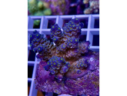 594830444 848663434588587 6000779711021307717 n