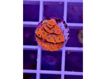 596386063 848663331255264 3059397581770288967 n