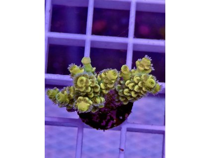 595413187 848662974588633 8108130138713730355 n