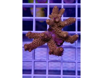 597015807 848663394588591 1667765674058277433 n