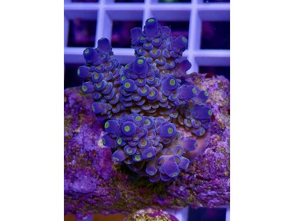 594652901 848663171255280 453039307538788341 n