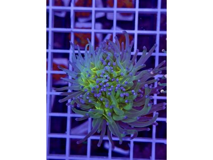 594969423 849187591202838 1731966836649832815 n