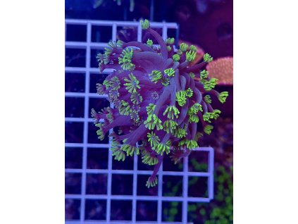 595371143 849188187869445 8500152112129329265 n