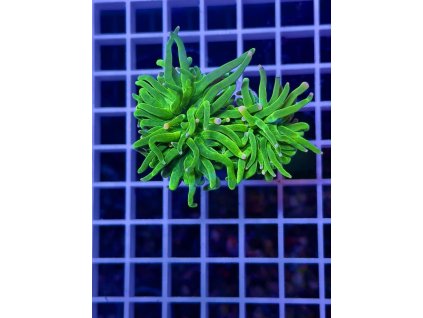 597236044 849185297869734 1438121283963360988 n