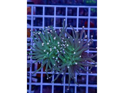 595654195 849186451202952 3507602590788394238 n