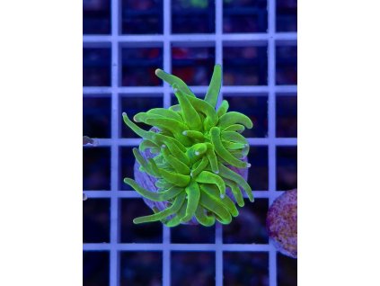 595665732 849186194536311 4122984194744731436 n