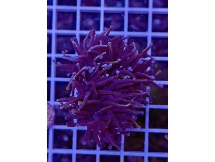 592222779 849188277869436 1966755012139178614 n