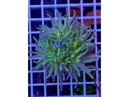 595907271 849186124536318 4295651367449393240 n