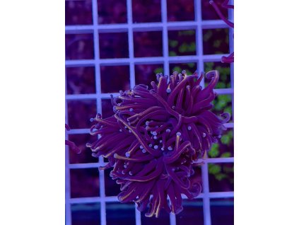 595730522 849185747869689 4223403099756028751 n