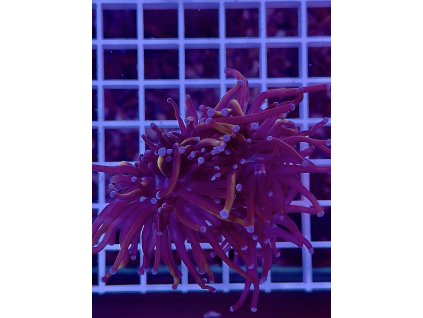 595816979 849188314536099 5650762172378523493 n