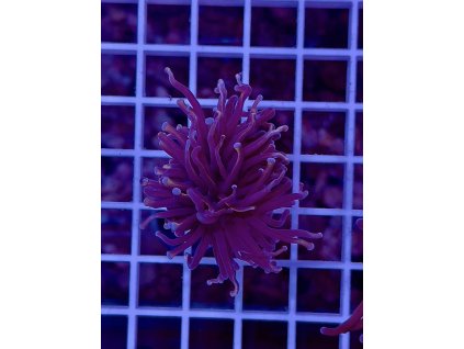 594813203 849187601202837 6133010327030303051 n