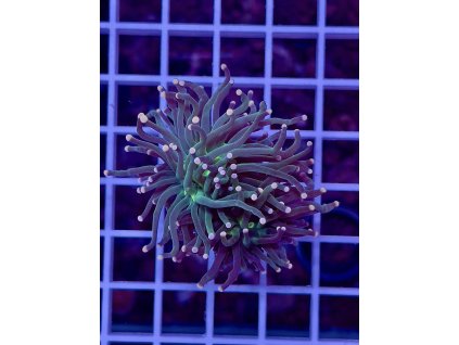 592282288 849188251202772 4743077915814061018 n