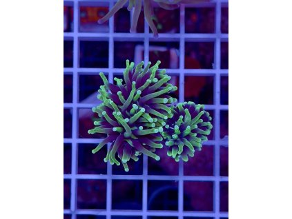 595703909 849184771203120 7700646716138005231 n