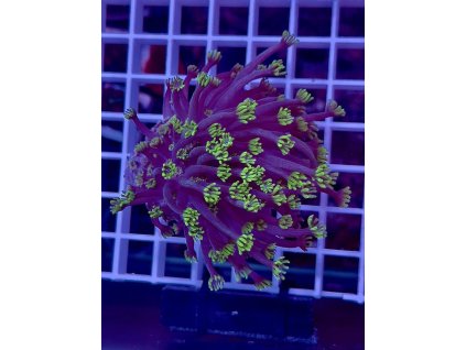 595638998 849186034536327 8653895177306667776 n