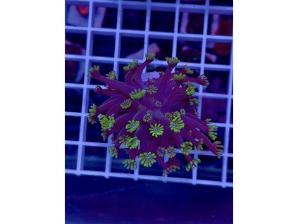 594362590 849188124536118 6714461526478422556 n