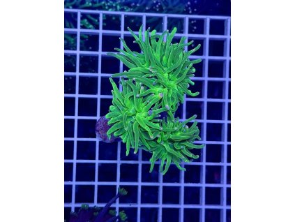 597111809 849184541203143 4537386966696574892 n