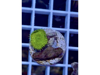 594980647 849188401202757 5686616462998671858 n