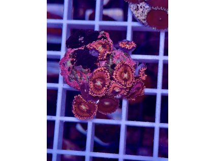 596820927 849188411202756 7662174383426027676 n