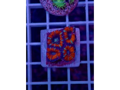 595751819 849185797869684 985735861406650616 n