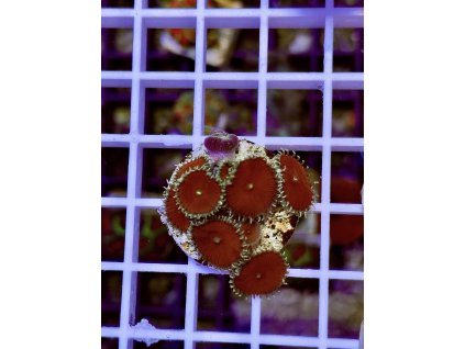 612320344 871408685647395 4244377728095434998 n