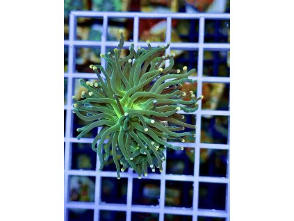 612646409 871409058980691 7023104249218287789 n