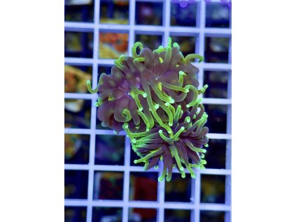 611680825 871408638980733 4520891162580695793 n