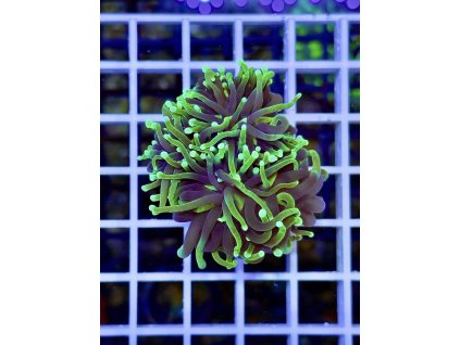 611290471 871409165647347 6288848051412547456 n