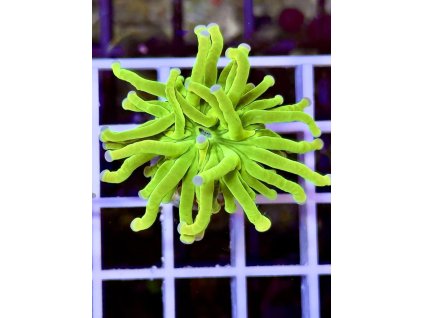 611636634 871398668981730 3910137598818363575 n