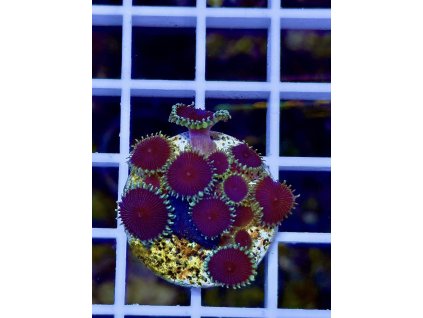 612057322 871408505647413 8602008854751309714 n