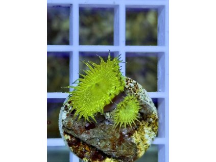 611976776 871397892315141 2679272113127089607 n