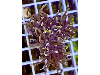 611454393 871404115647852 1964494586588152494 n