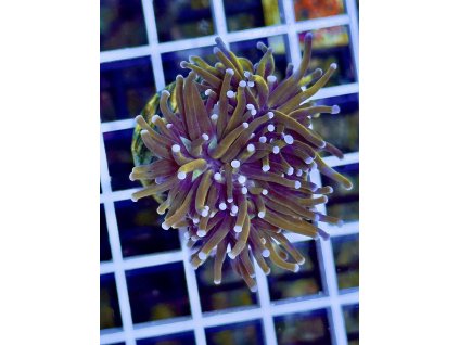 609068230 871409255647338 7140696794070498692 n