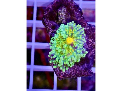 612436539 871397692315161 8041105227028779163 n